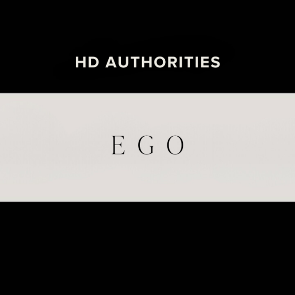 Human Design Ego Authority