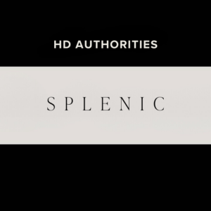 Human Design Splenic Authority